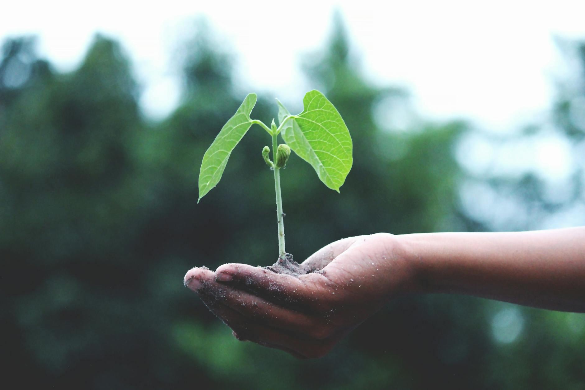 Small, consistent behavior changes drive real improvement