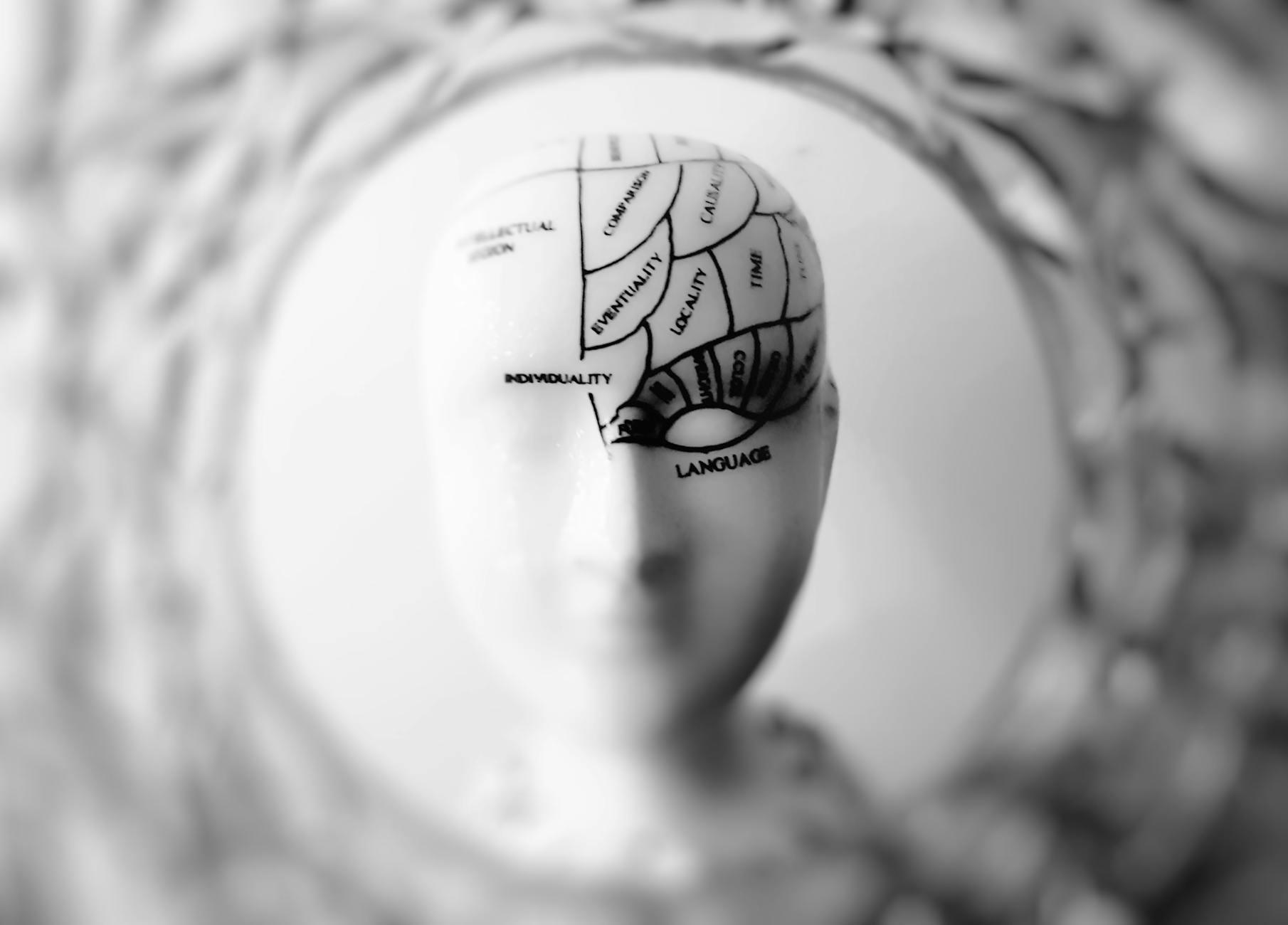 The craving brain: how habits are powered