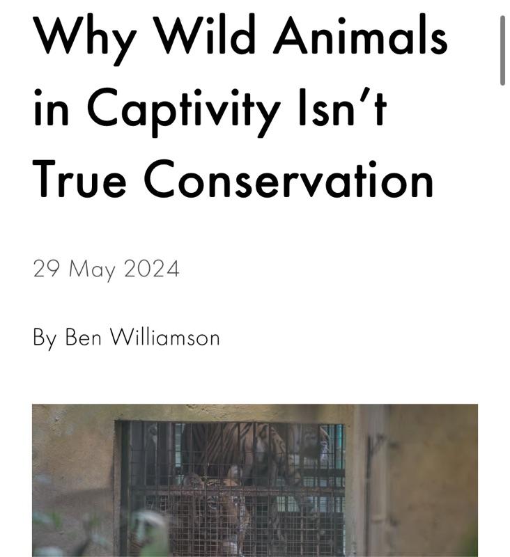 WORLD ANIMAL PROTECTION