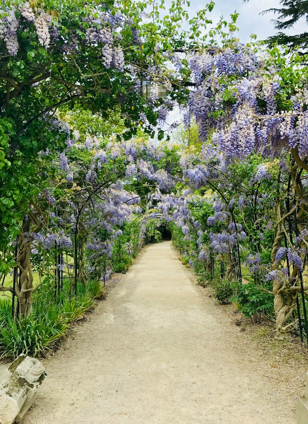Let the Garden Surprise You