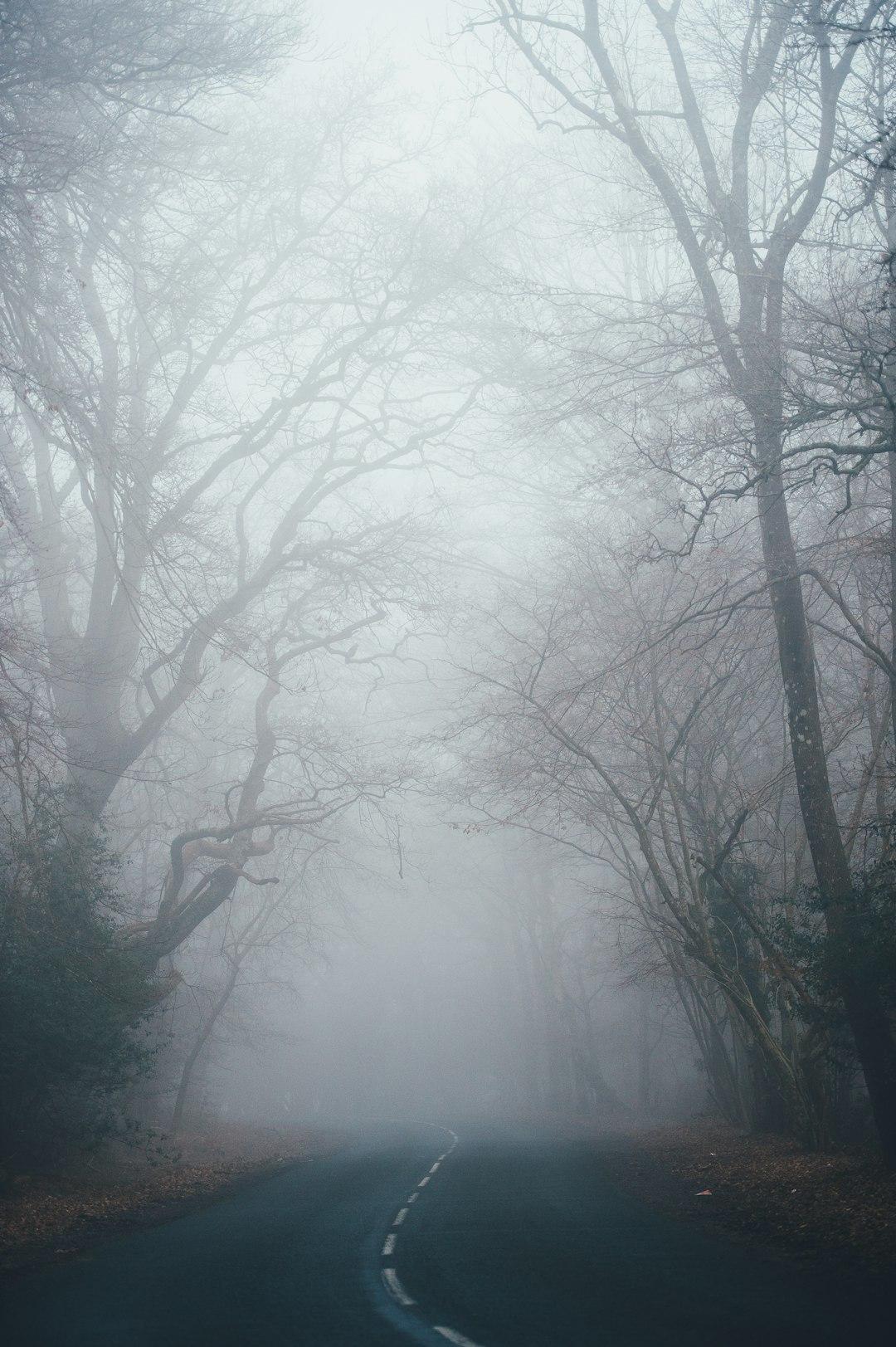 Outsmarting the Information Fog