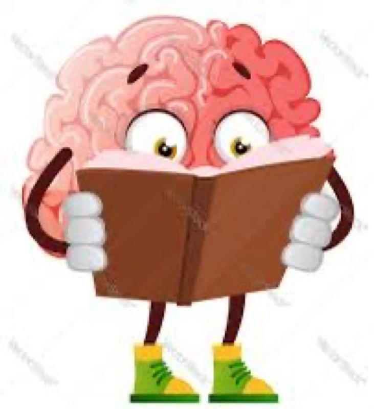 What a Book Does