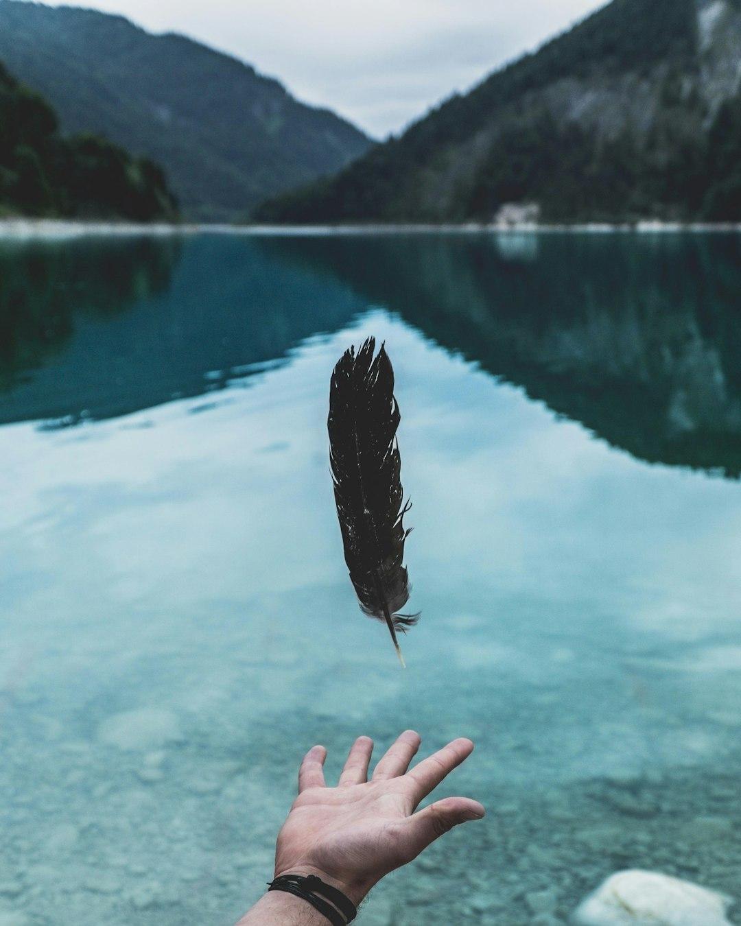 Mastering the Skill of Letting Go
