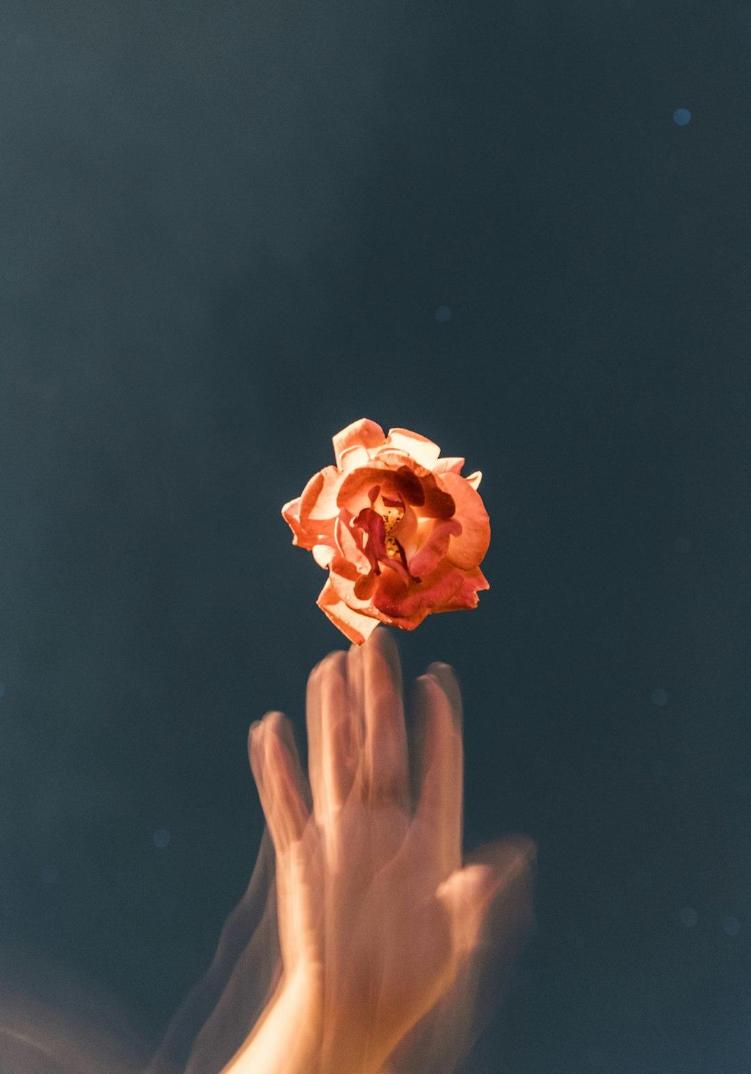 Releasing What No Longer Serves You