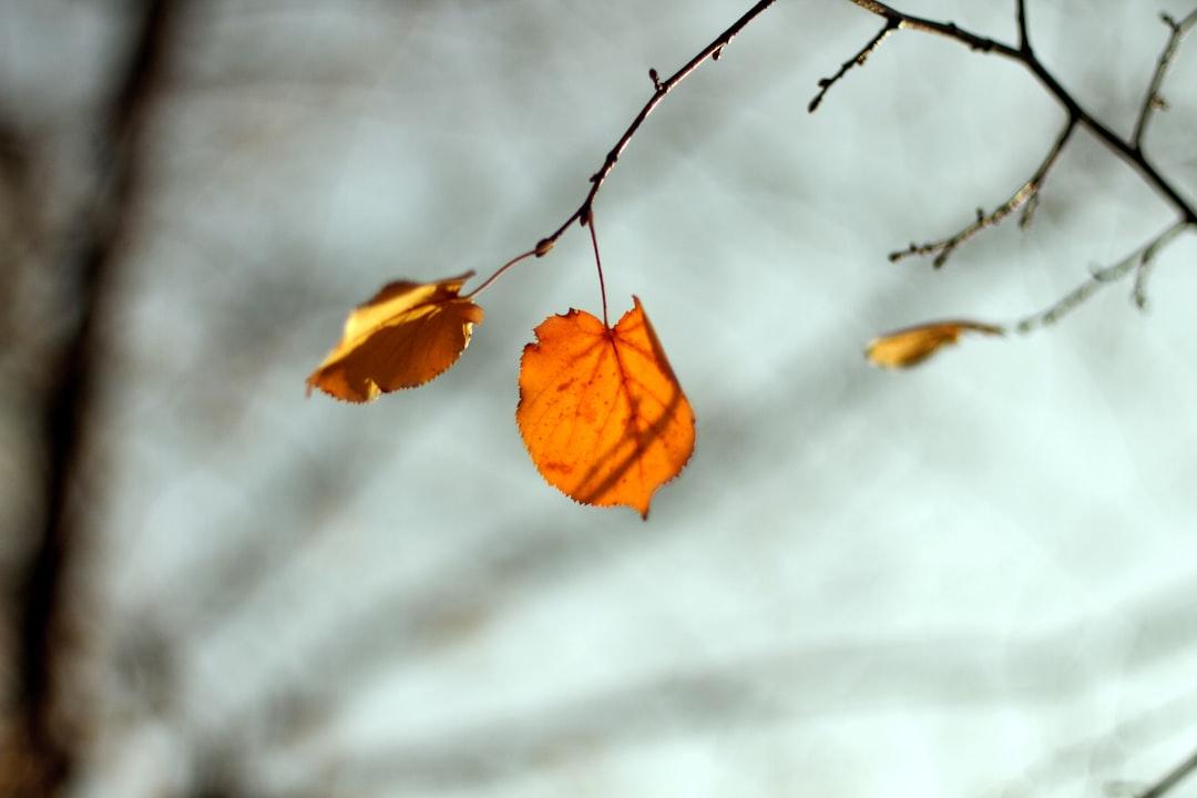 Letting Go of Negative Patterns