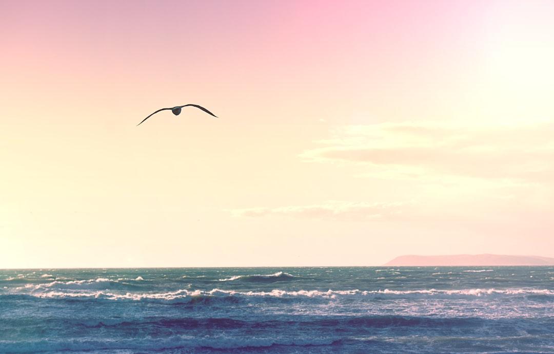 Reasons for Letting Go