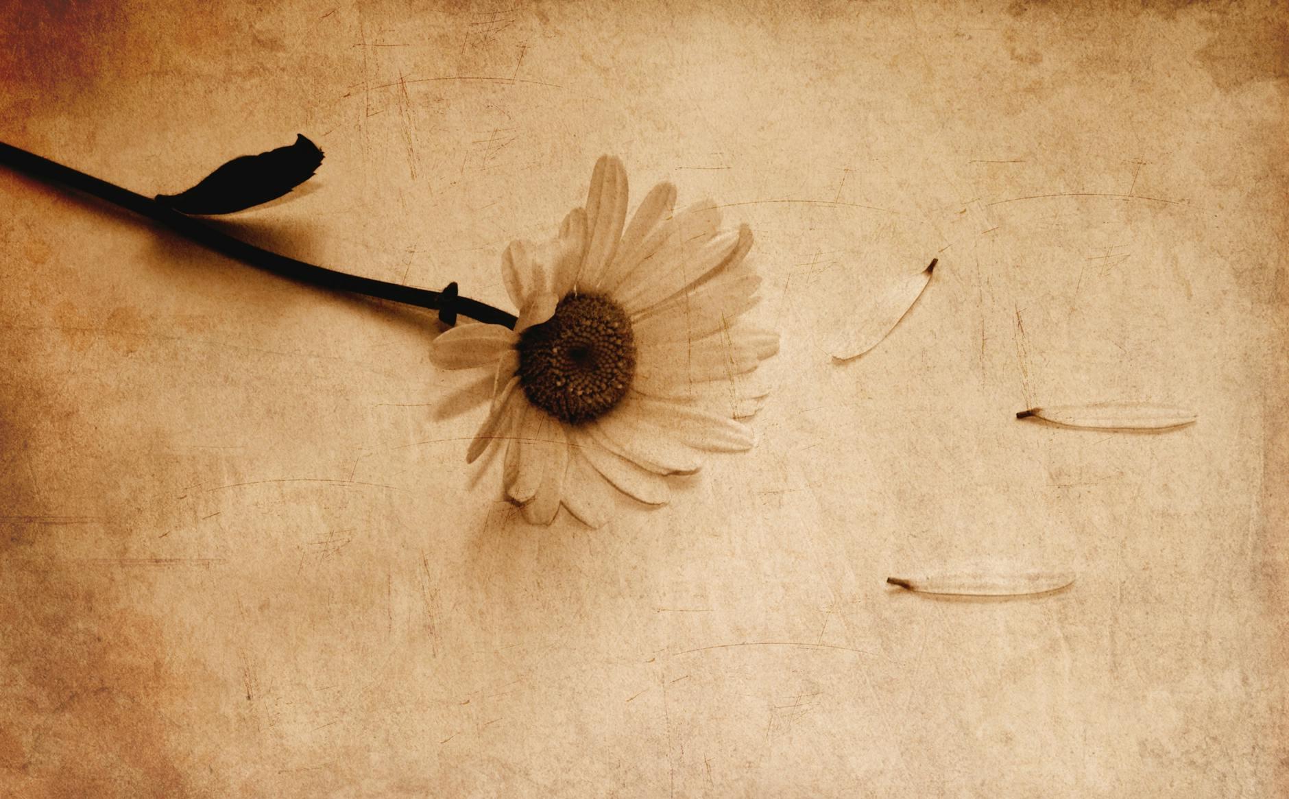 Acting with Kindness and Fearlessness
